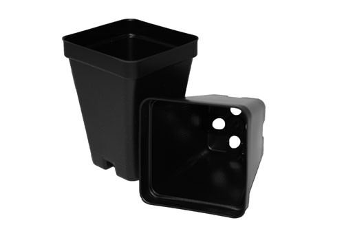 SVD 250 Black 800/case - Square Pots